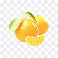 卡通 柑橘 水果