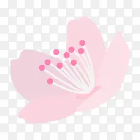 粉色 心形 花瓣