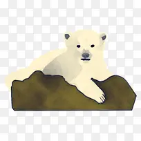 北极熊 熊 动物形象