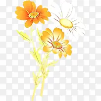 卡通 花卉 黄色