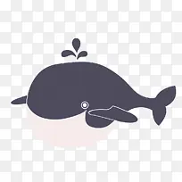 海洋哺乳动物 虎鲸 鲸鱼