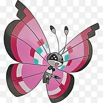 蝴蝶 粉色 昆虫