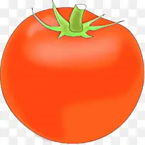 卡通 番茄 橘子