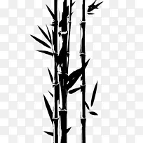 竹子 植物茎 植物