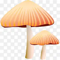 蘑菇 橙色 黄色