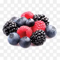 浆果 水果 黑莓