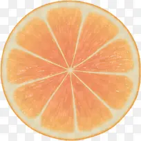 柑橘 葡萄柚 水果