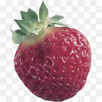 采购产品天然食品 水果 草莓