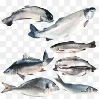 采购产品鱼 鱼产品 油性鱼