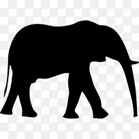 大象 印度象 大象和猛犸象