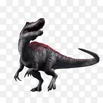 恐龙 动物模型 霸王龙