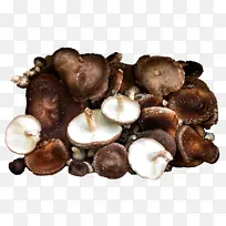 香菇 蘑菇 食用菌