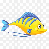 鱼 鲳鱼科 黄鱼