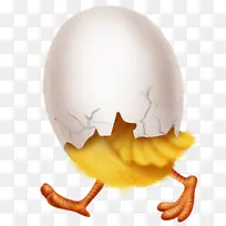 鸡蛋 黄色 蛋清