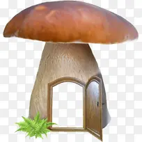 蘑菇 竹篙包 食用菌