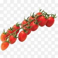 天然食品 樱桃番茄 蔬菜