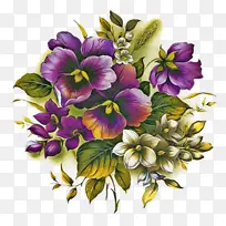 花 开花植物 紫罗兰