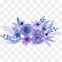 蓝色 紫色 花朵