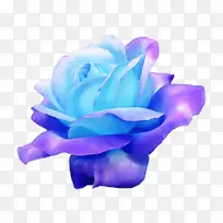 蓝色 玫瑰 蓝色玫瑰