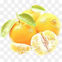 卡通 水果 柑橘