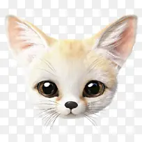猫 胡须 芬内克狐狸