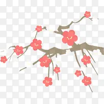 树枝 粉色 樱花