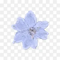 蓝色 花瓣 花