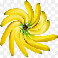 香蕉科 香蕉 黄色