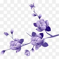 紫罗兰 花 丁香