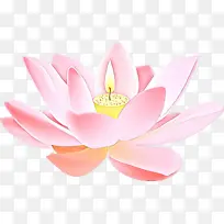 卡通 莲花家族 莲花