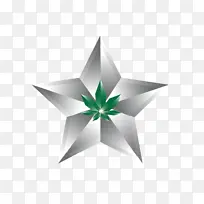 绿色 星星 植物