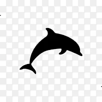 海豚 宽吻海豚 鲸目动物