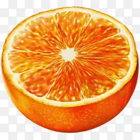柑橘 水果 朗普