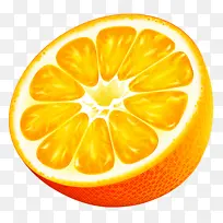 柑橘 水果 葡萄柚