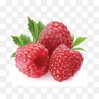 浆果 水果 草莓