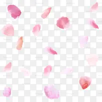 粉色 花瓣 心形