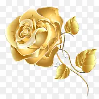 黄色 花园玫瑰 玫瑰