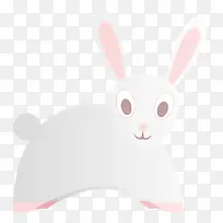 兔子 兔子和野兔 粉色