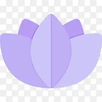 紫色 丁香 薰衣草