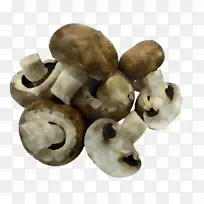香菇 蘑菇 骨头