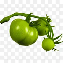 天然食品 绿色 番茄