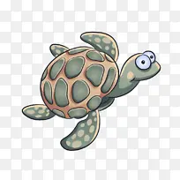 海龟 乌龟 绿海龟