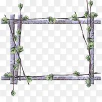植物 相框 长方形