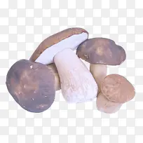 蘑菇 香菇 竹篙包