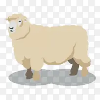 绵羊 动物形象 卡通