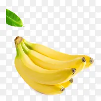香蕉系列 香蕉 萨巴香蕉