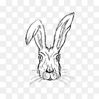兔子 线条艺术 头部