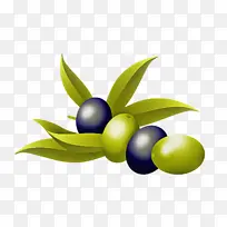水果 橄榄 植物