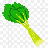 绿色 蔬菜 植物