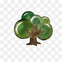 绿色 叶子 植物